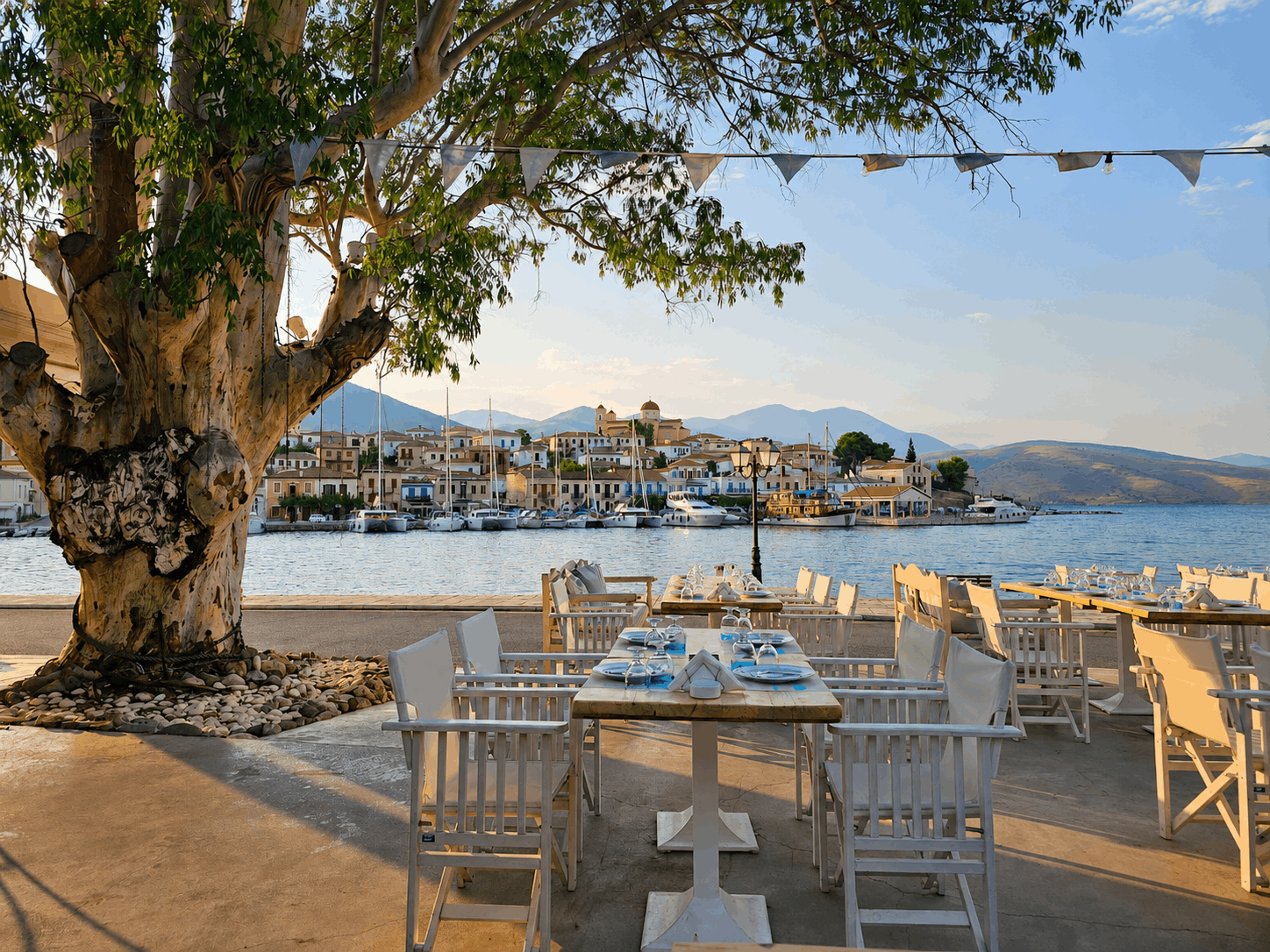 Υπαίθριες τραπεζαρίες φαγητού δίπλα στη θάλασσα κάτω από ένα μεγάλο δέντρο, με θέα σε μια μαρίνα στο ηλιοβασίλεμα