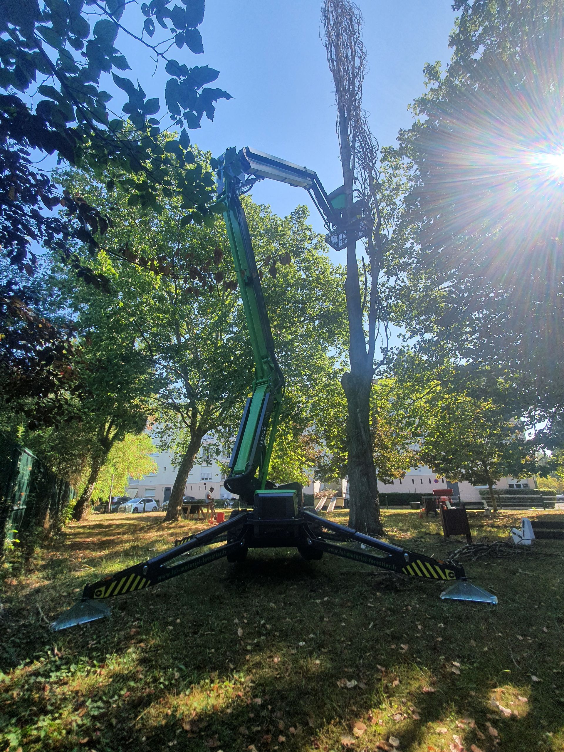 Nacelle en action pour l'élagage d'un arbre