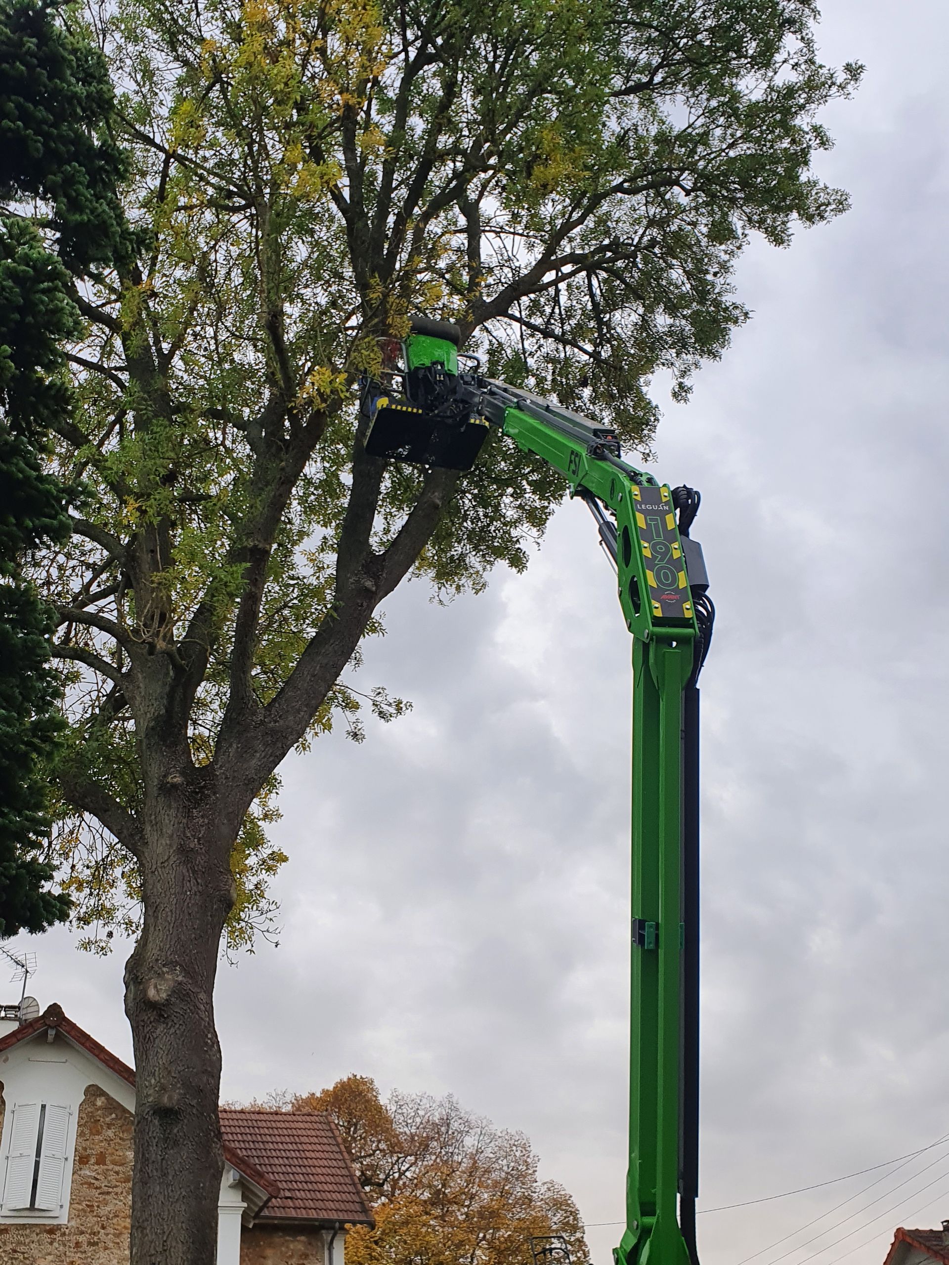 Arbre en cours d'élagage avec élagueur dans la nacelle