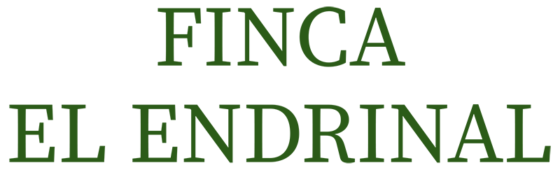 logotipo cabecera