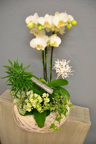Bouquets personnalisés par votre fleuriste Mille et une fleurs au Molay-Litry