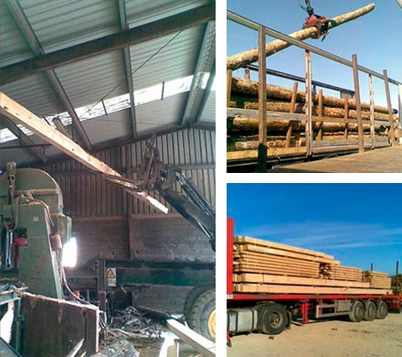 Un collage de tres imágenes muestra un almacén, una grúa y un camión que transporta troncos.