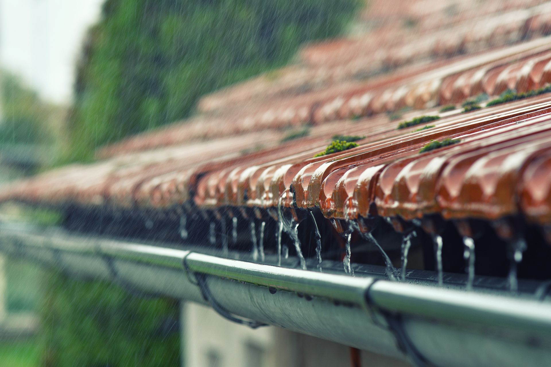 Gros plan sur la pluie ruisselant d'une gouttière de toit en tuiles rouges sur un fond vert et feuillu.