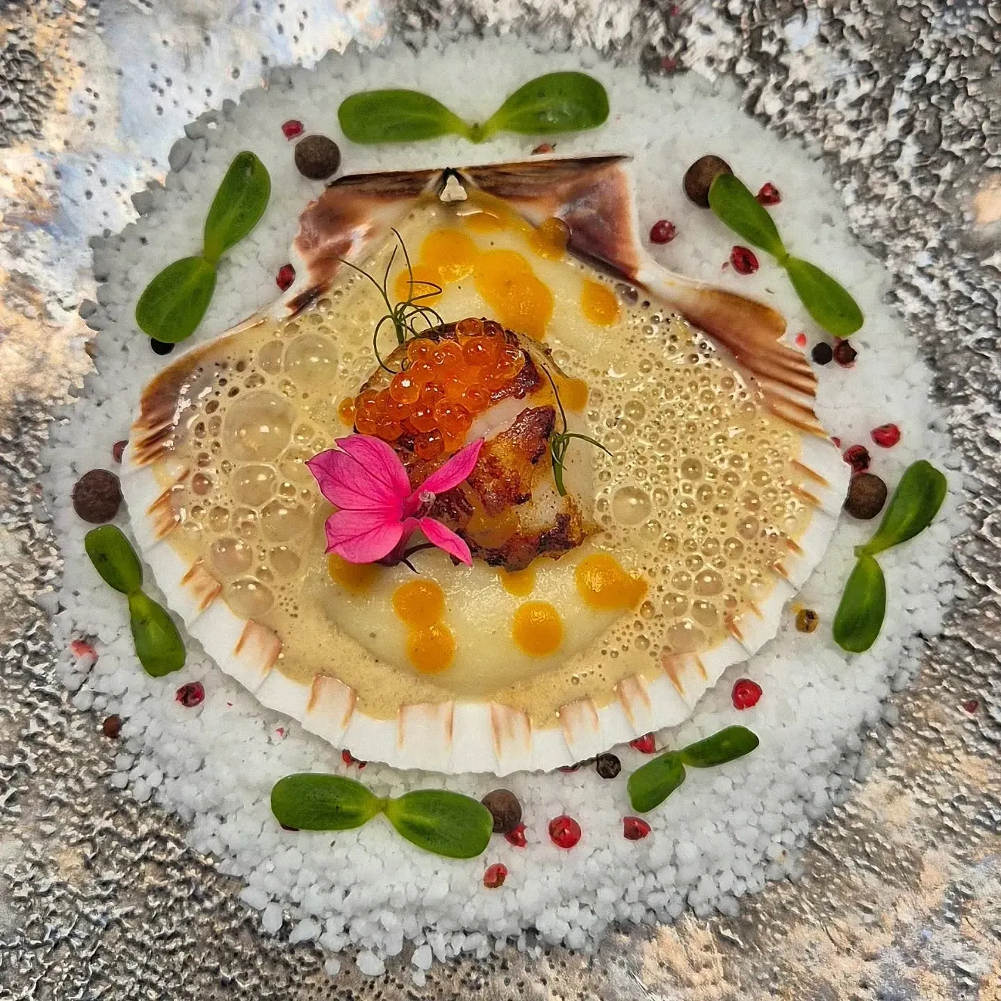 Coquille Saint-Jacques