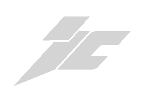 Logotipo de rayo estilizado de color gris.