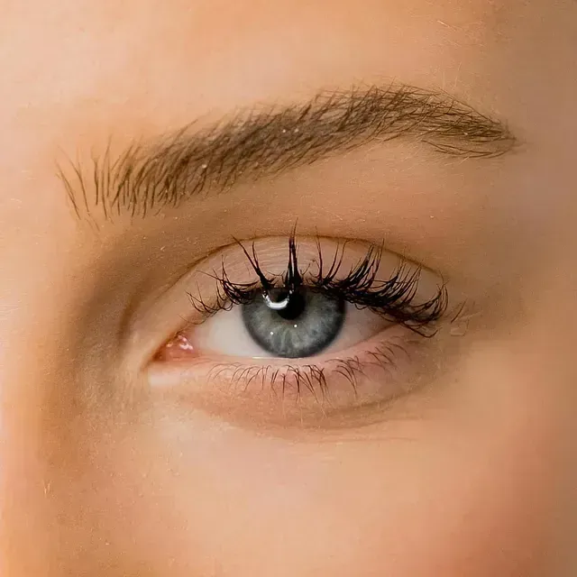 Un primer plano del ojo azul de una mujer con pestañas largas.