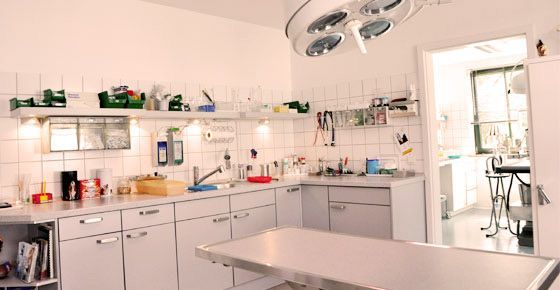 Kleintierpraxis Dr. Arens-Hemmen-logo