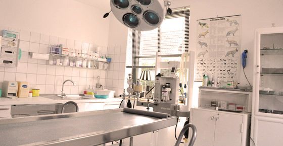 Tirarztpraxis mit medizinischer Ausstattung