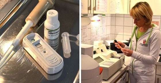 Tierärztin beim Vorbereiten einer Spritze