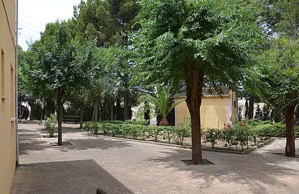 Una hilera de árboles en un parque al lado de un edificio.