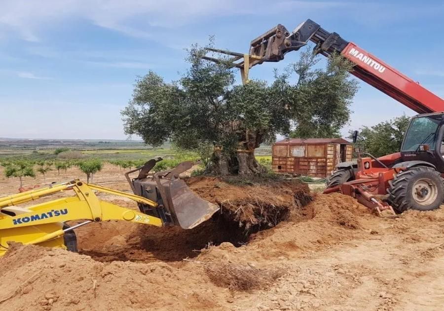 Seguridad para trabajar con maquinaria de movimiento de tierras