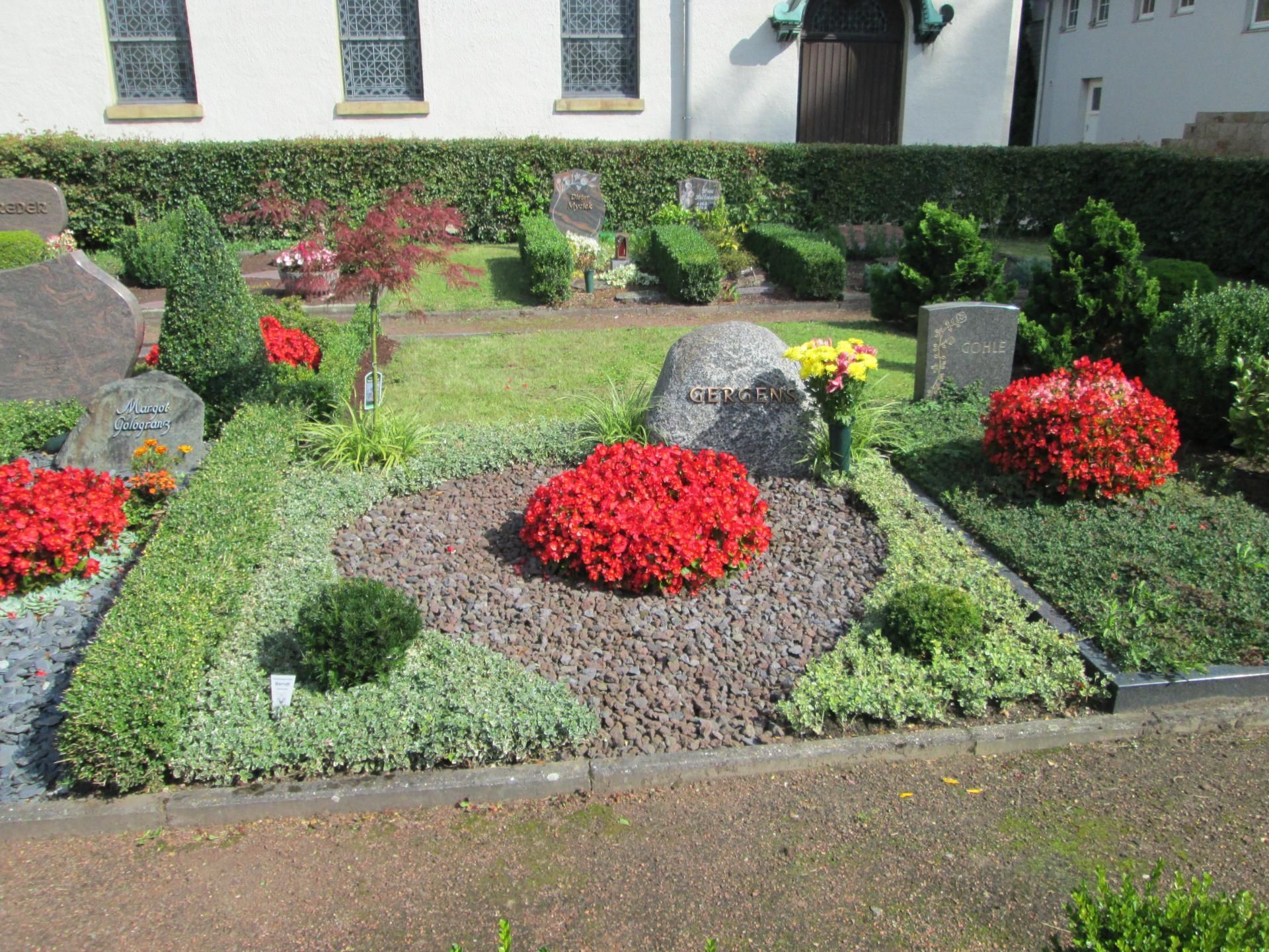 Ein Grab auf einem Friedhof, umgeben von grünen Sträuchern und roten Blumen