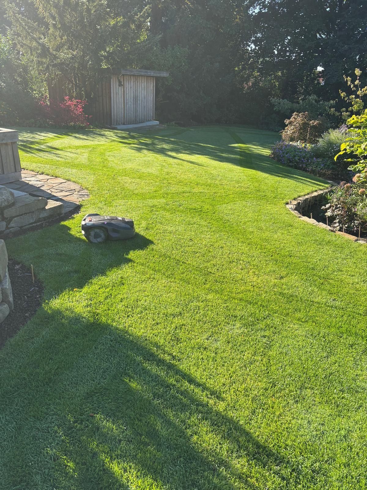 Ein Mähroboter auf grünem Rasen in einem sonnigen Garten mit Steinmauern und einem kleinen Holzschuppen