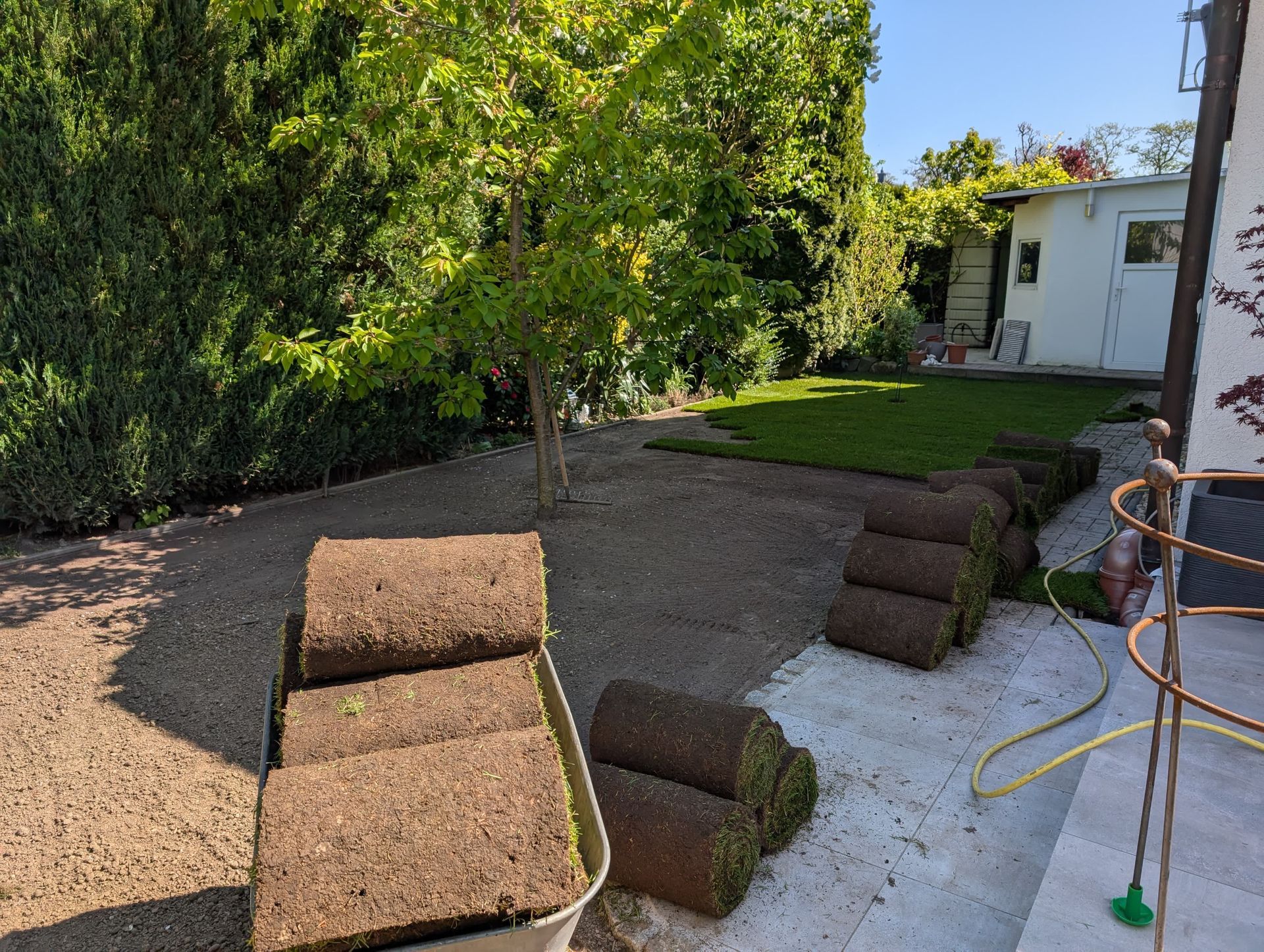 Ein gewundener Pfad durch einen lebendigen Garten mit rot und weiß blühenden Büschen unter einem sonnigen Himmel