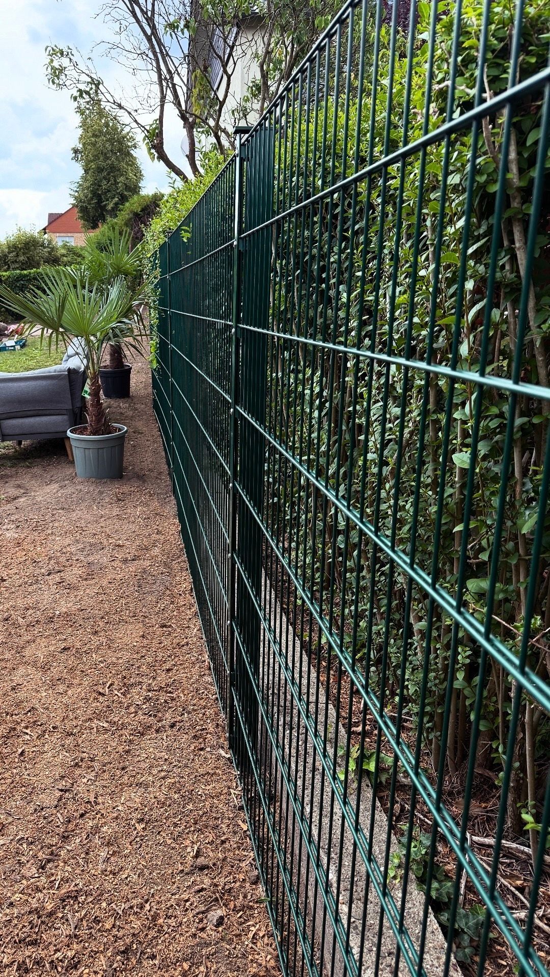 Grüner Drahtzaun entlang eines Hofes mit einem Holzschnitzelweg und Pflanzen