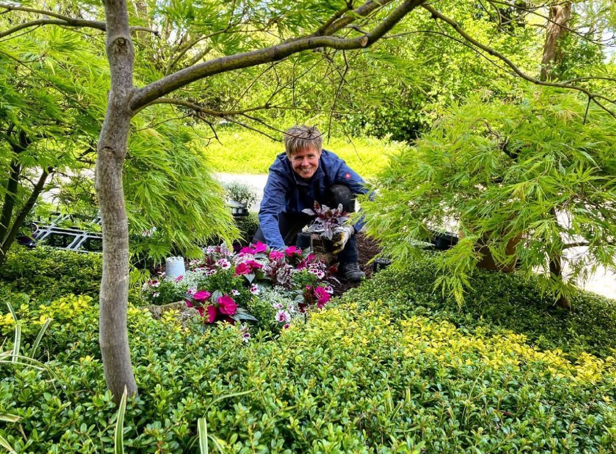 Ein Gärtner pflegt unter einem Baum ein Blumenbeet mit leuchtend pinkfarbenen Blüten, umgeben von grünem Laub