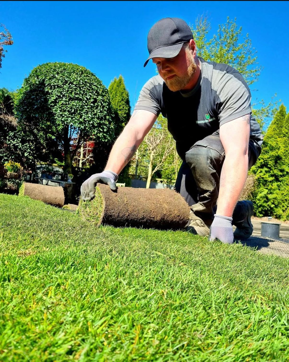 Ein Gärtner kniet und verlegt Rollrasen auf einer grünen Rasenfläche