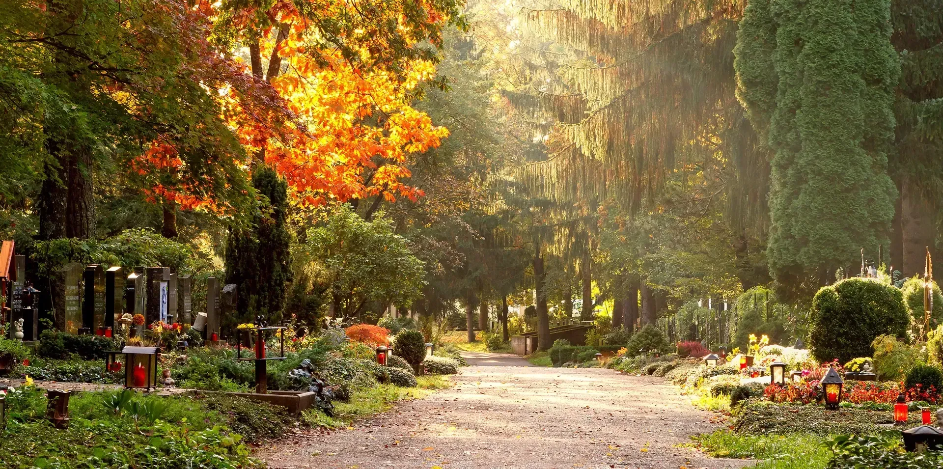 Ein Weg auf einem Friedhof, umgeben von Bäumen und Blumen.