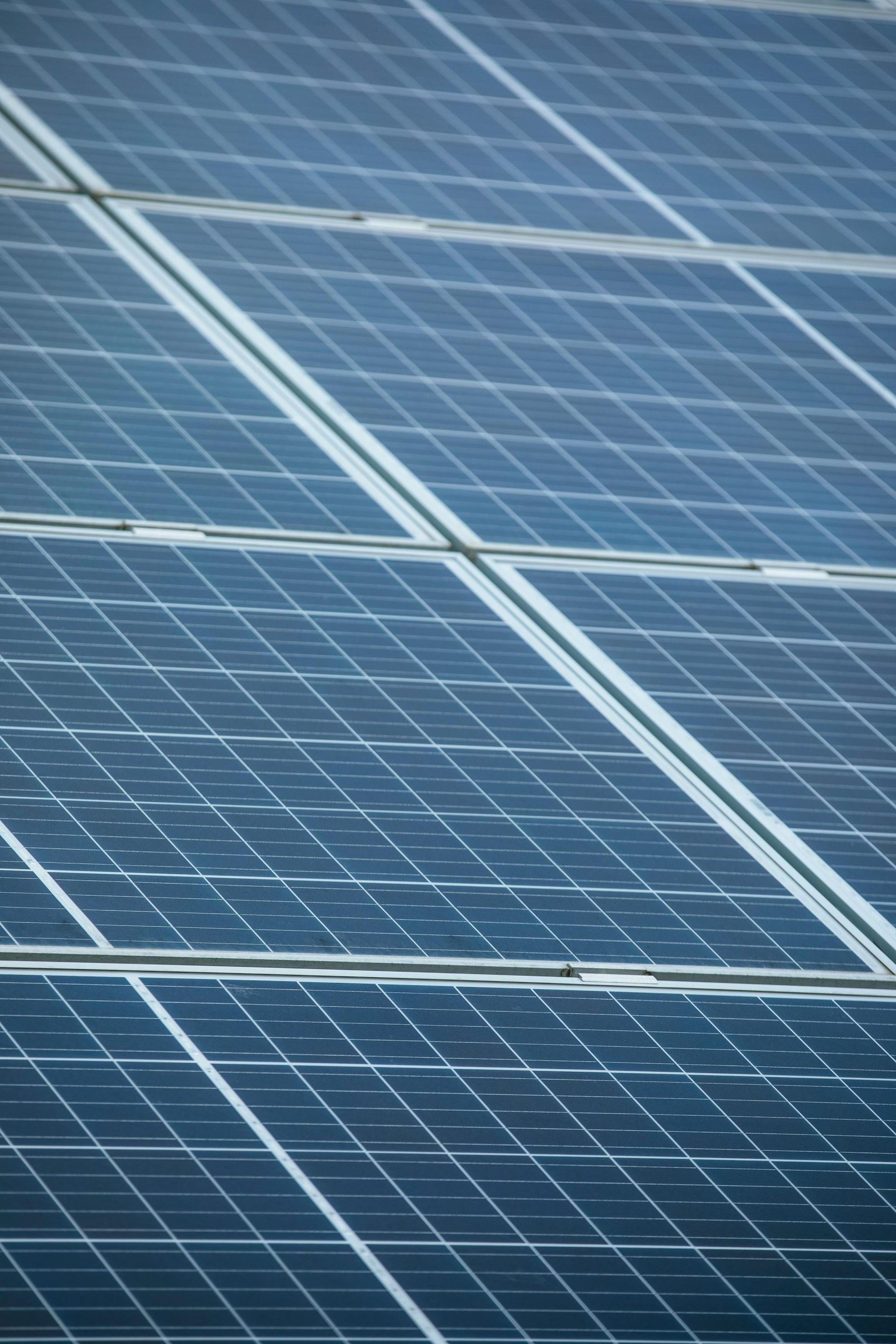 Primer plano de paneles solares azules con líneas de rejilla blancas bajo la luz del sol.