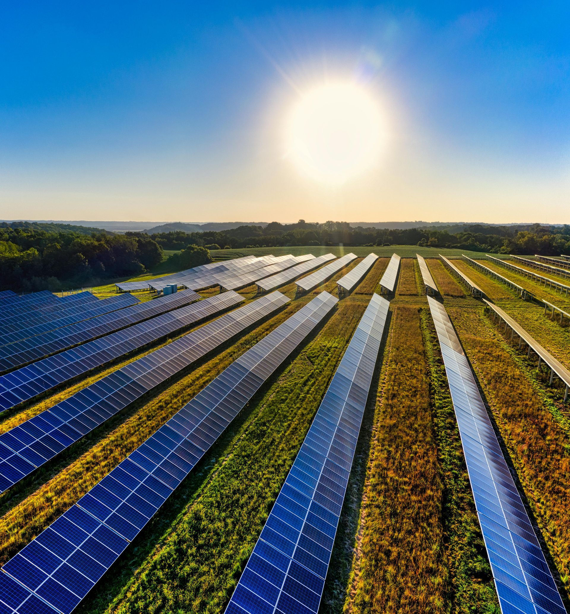 Paneles solares que se extienden a lo largo de un campo bajo un brillante cielo de amanecer.