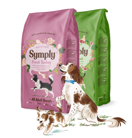 dog food symply - power pet gmbh - linthal
