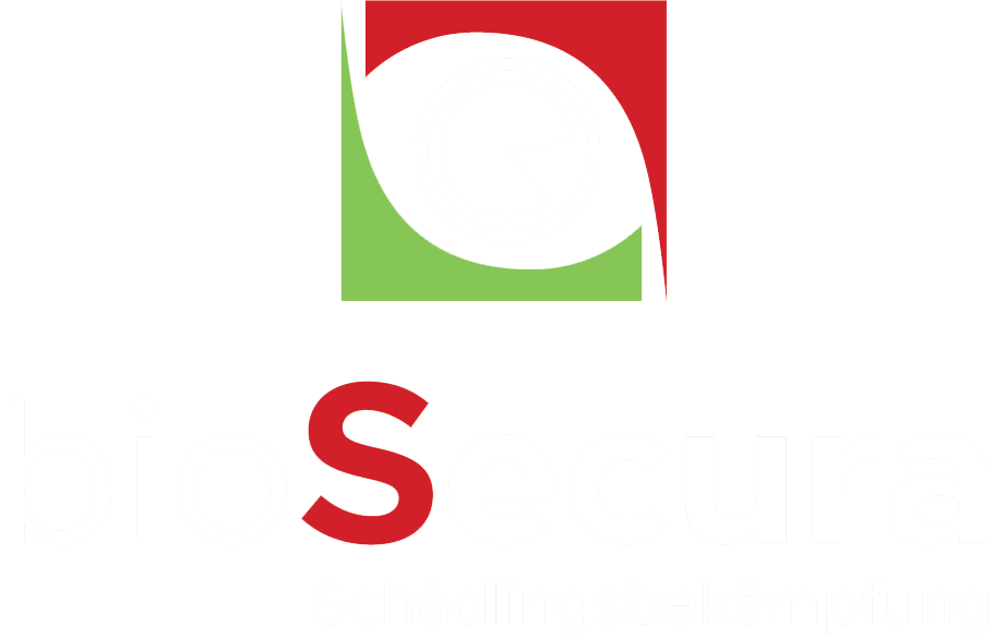 Logo: Rotes „S“ unter einem Quadrat mit roten und grünen Formen.