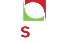 Logo: Rotes „S“ unter einem Quadrat mit roten und grünen Formen.