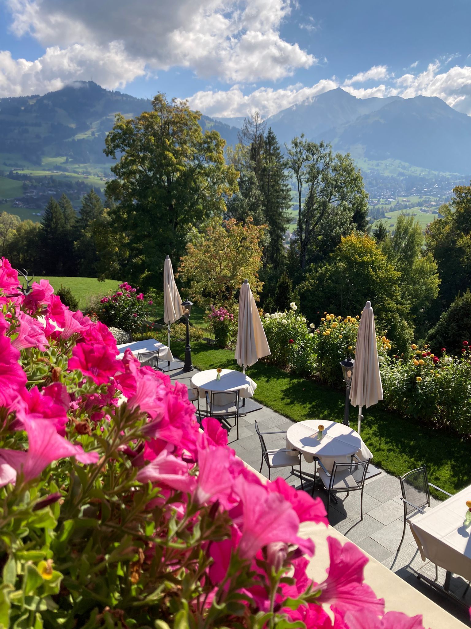 Ein Vordergrund aus Petunien überblickt eine Terrasse mit Tischen und Sonnenschirmen vor dem Hintergrund eines Bergpanoramas.