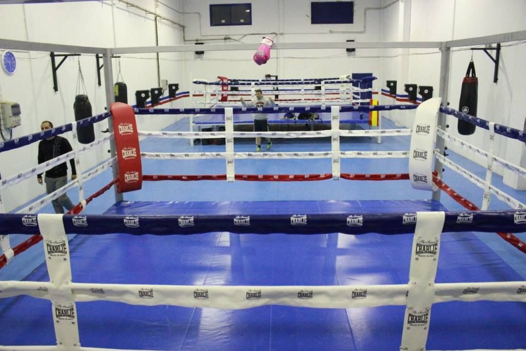 Ring de boxeo en un gimnasio, tapete azul con cuerdas blancas, protectores de esquina rojos y bolsas pesadas negras colgando.