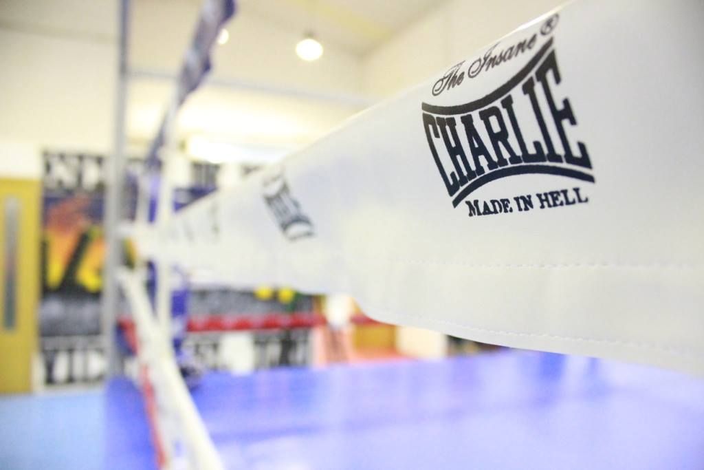 Cuerda de ring de boxeo blanca con el logo 