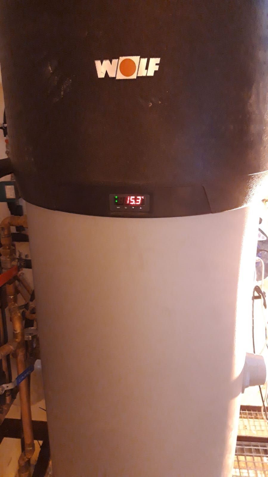 Un calentador de agua de lobo está sentado en una pared de una habitación.