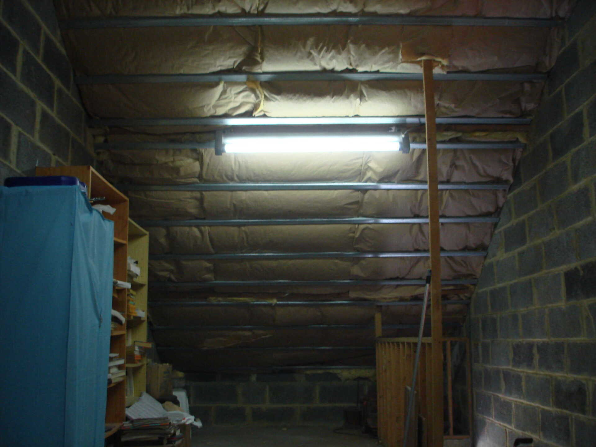 Enlever des mérules dans grenier