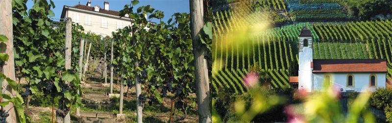 Domaine de Villarose - Alain et Patricia Besse - 1787 Mur