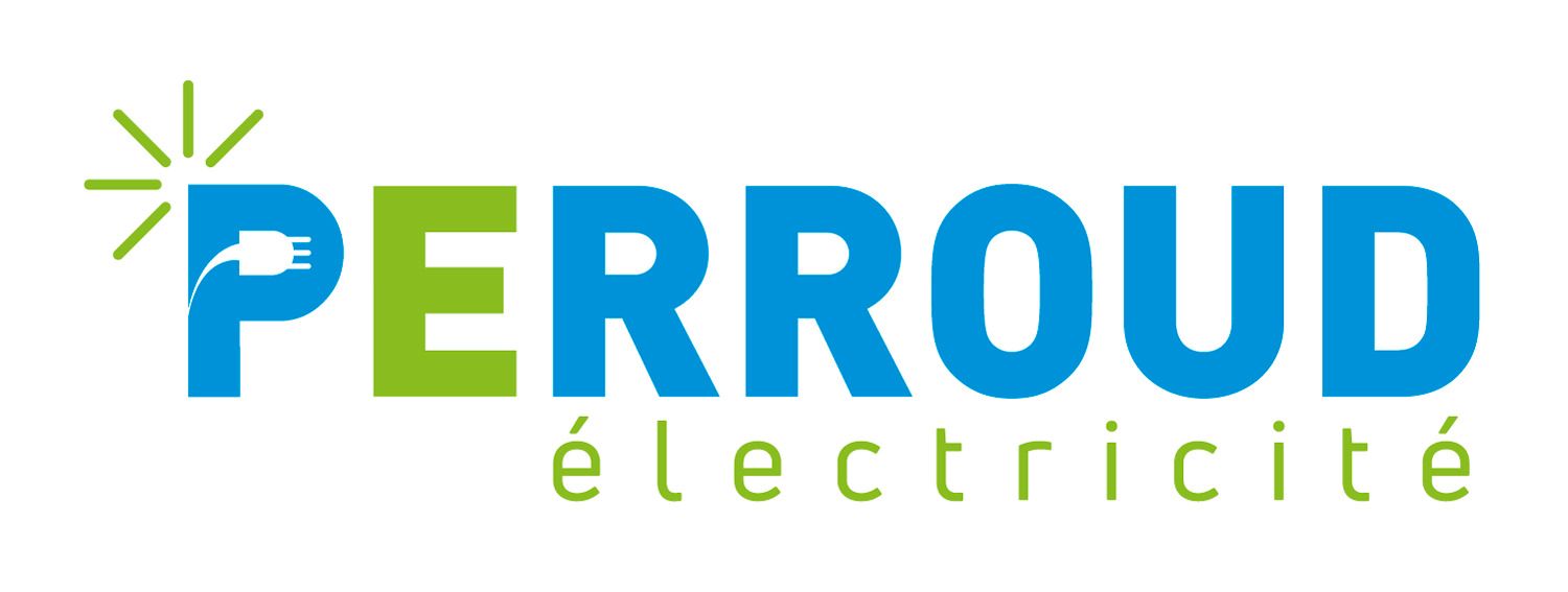 Un logo bleu et vert pour perroud électricité