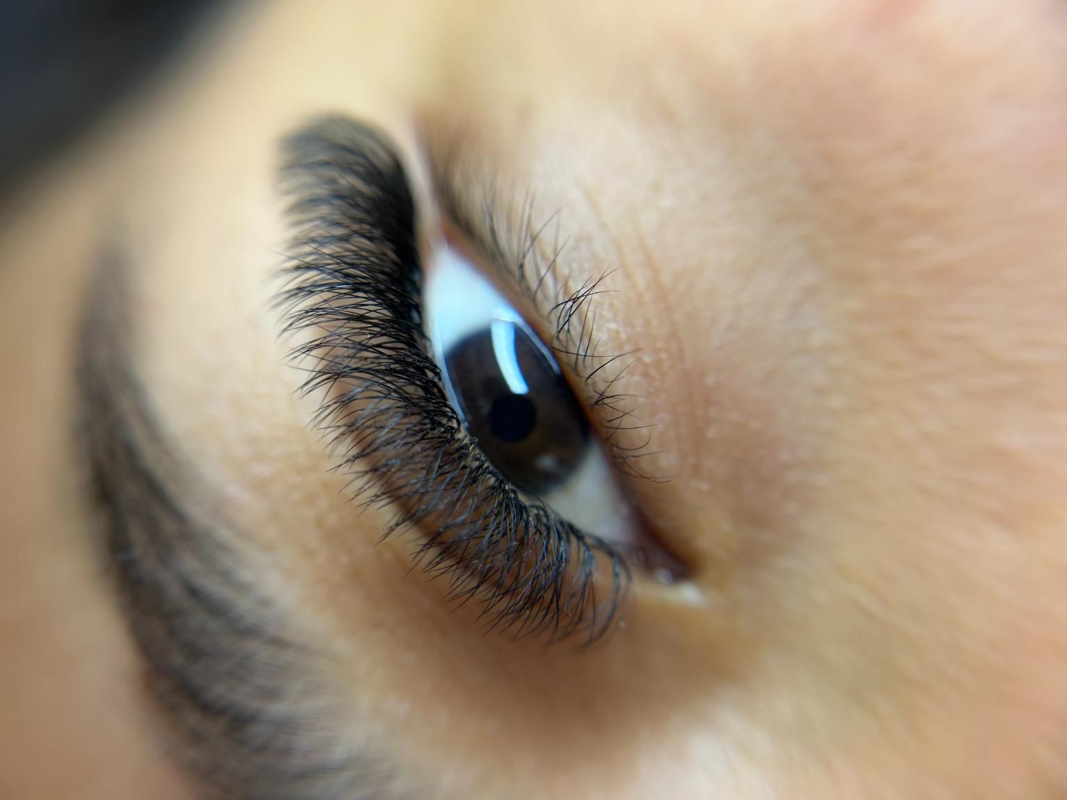 Primer plano de un ojo con extensiones de pestañas oscuras y abundantes y una ceja bien definida.