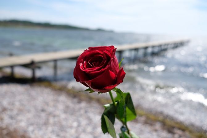 Bestattungshaus Söchtig rote Rose am Meer