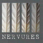 Logo de l'entreprise Nervures