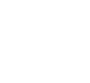 Fondo blanco vacío.