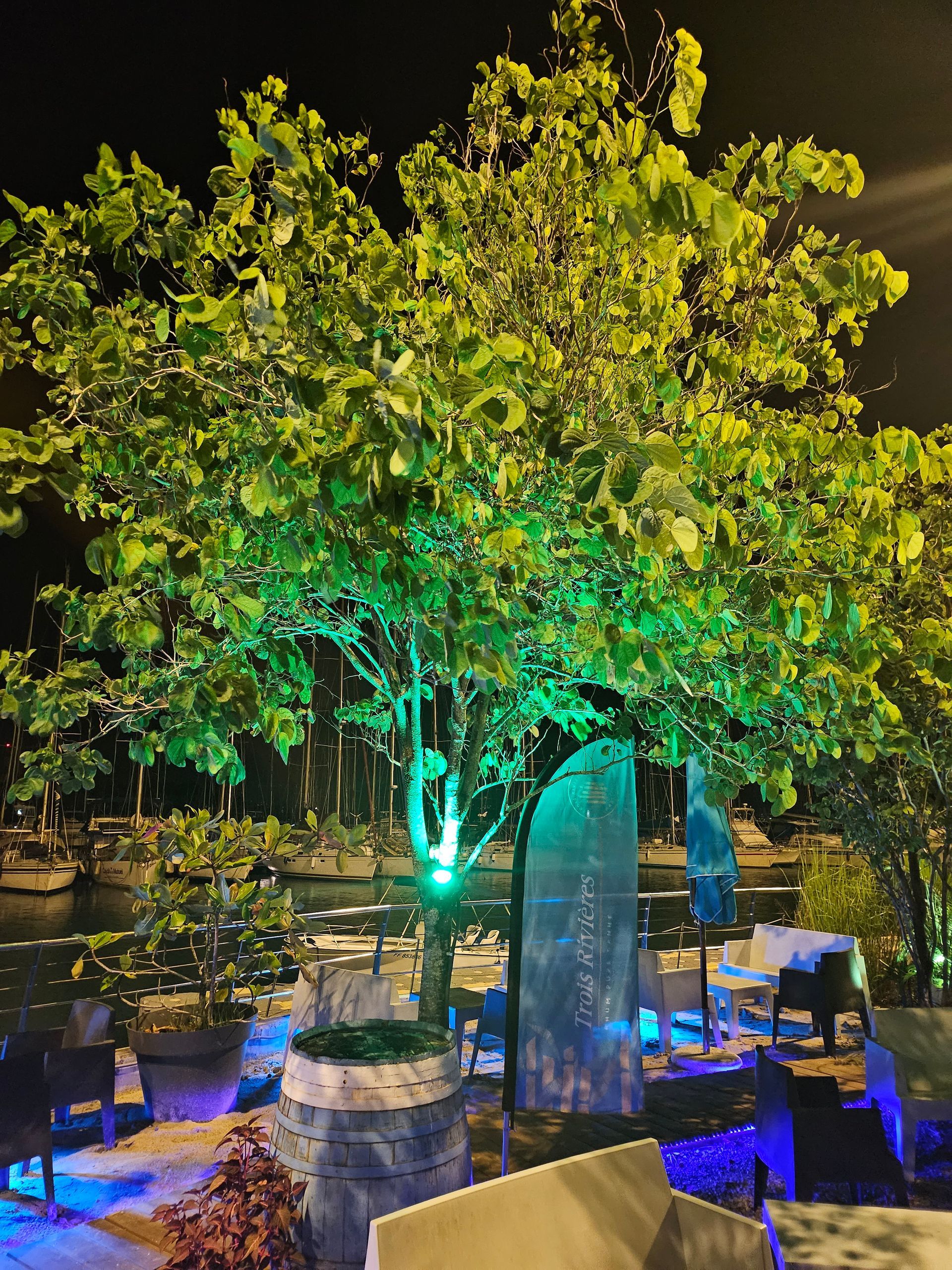 Jardin d'extérieur de nuit.