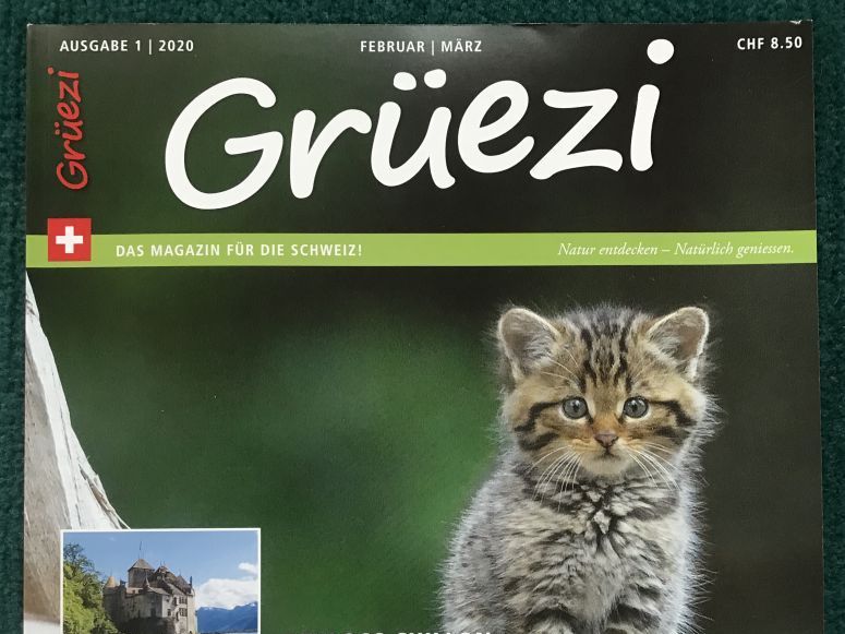 Magazin Grüezi