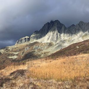 Im Hintergrund ist ein Berg und im Vordergrund ein Feld.
