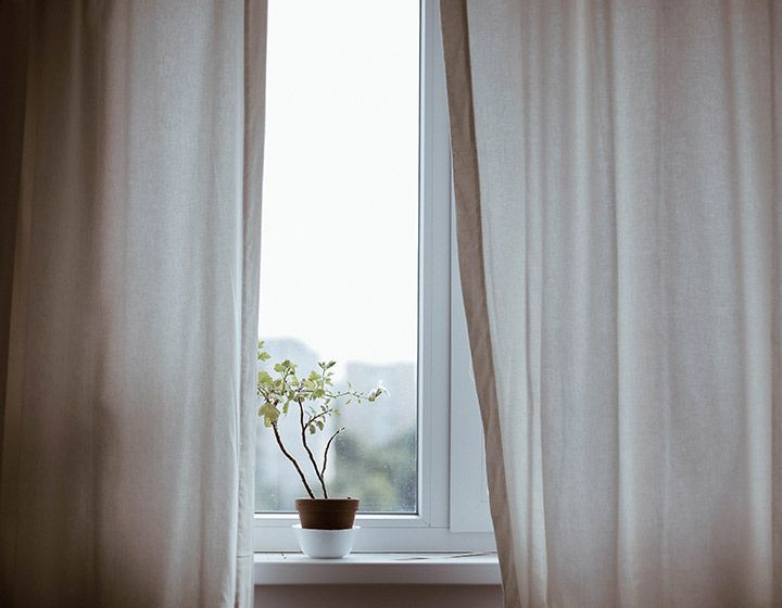 Une petite plante en pot est posée sur le rebord d'une fenêtre, entre des rideaux clairs, avec une vue extérieure floue en arrière-plan.