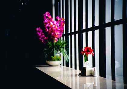 Des fleurs rose vif dans un bol blanc et une seule fleur rouge dans un petit vase sur un rebord contre une fenêtre à barreaux noirs.