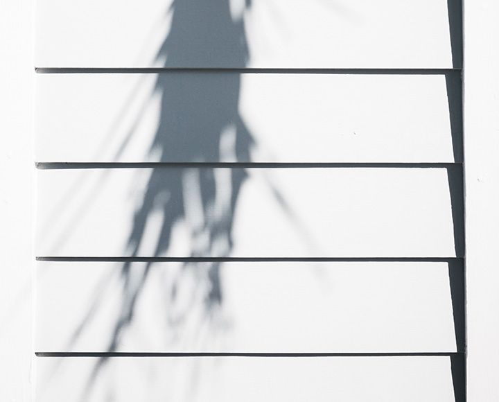 Ombres du feuillage projetées sur les planches de bardage horizontales et blanches.