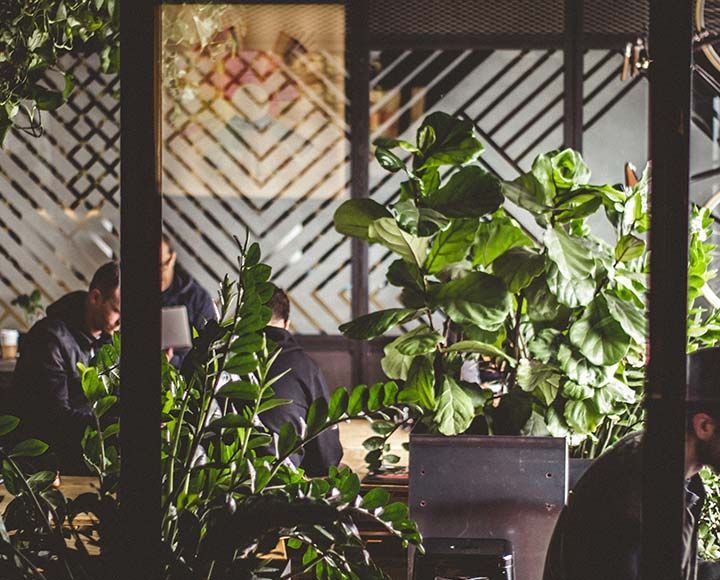 Des personnes assises à des tables dans un café à l'éclairage tamisé et rempli de plantes, avec des fenêtres en verre à motifs géométriques en arrière-plan.