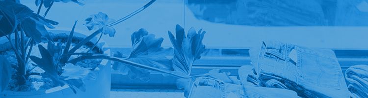 Gros plan sur des plantes en pot et du linge plié sur une table, le tout dans une teinte bleue monochrome.