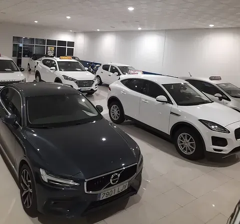 Una fila de coches están aparcados en una sala de exposición.