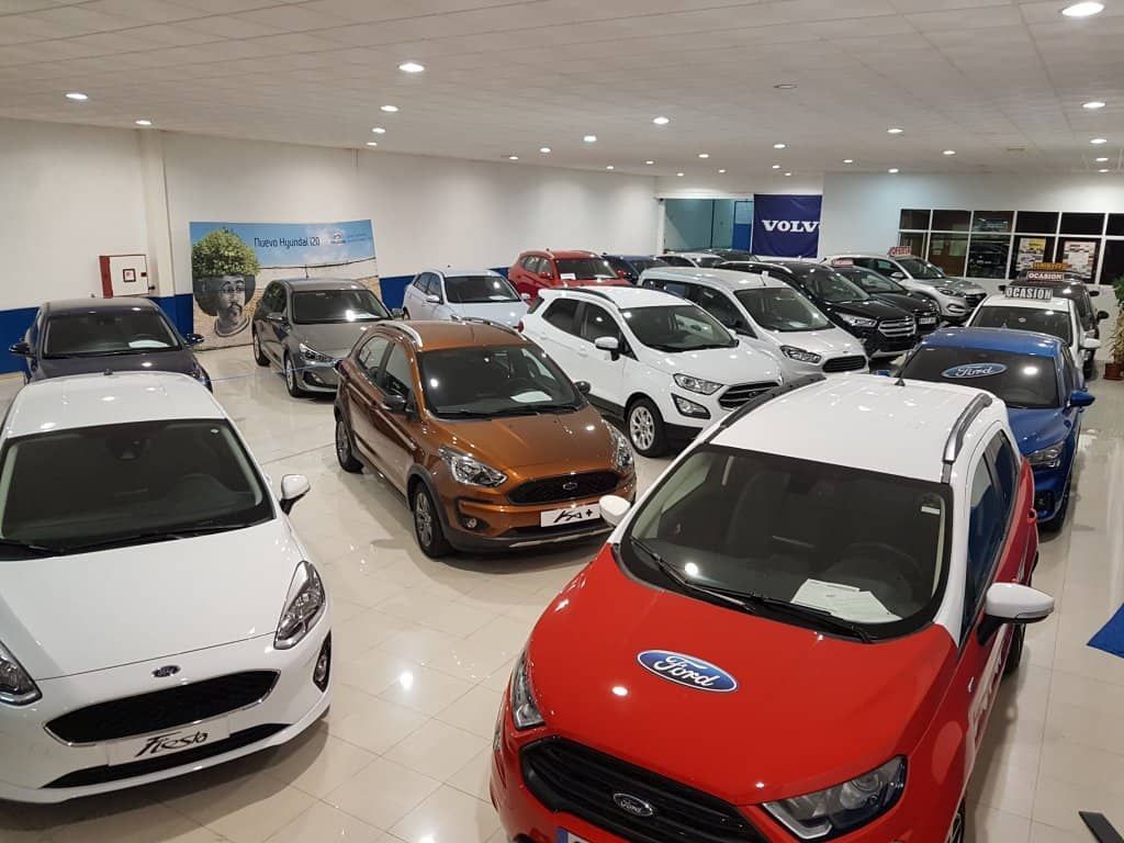 Hay muchos coches aparcados en una sala de exposición.