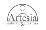 logo artesia gris sur fond blanc