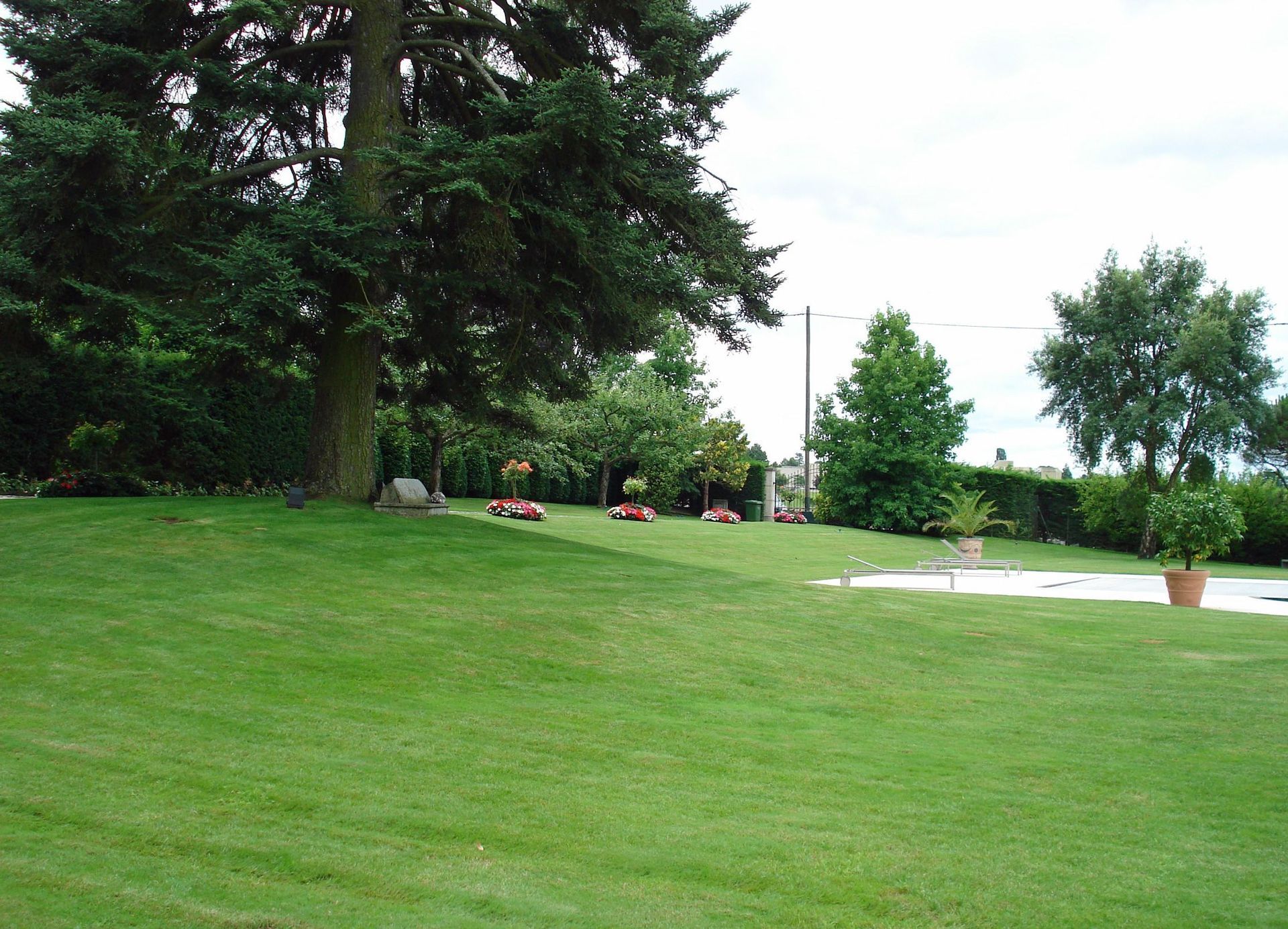 Entretien de gazon - Martin et Martin SA – Jardiniers paysagistes à Collonge-Bellerive